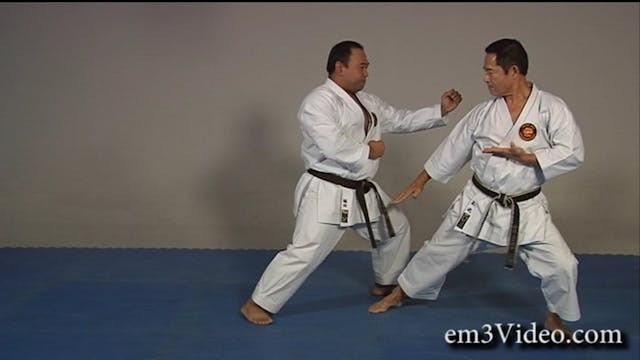 Karate Shito Ryu Kata Volume 2 by Kunio Miyake