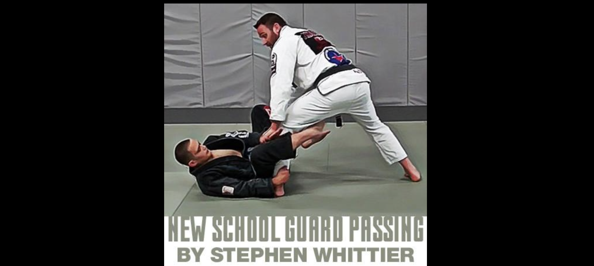 New School Guard Passing by Stephen Whittier