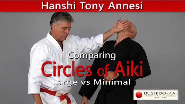 Comparing Circles of Aiki with Tony Annesi