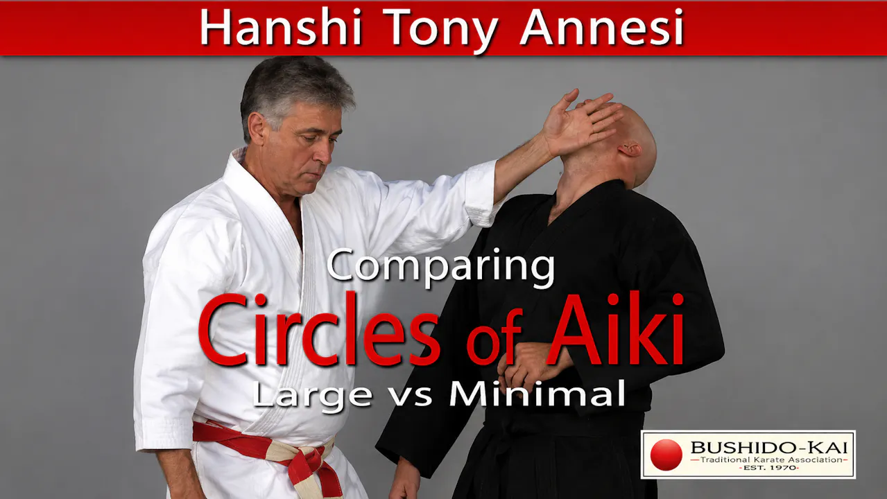 Comparing Circles of Aiki with Tony Annesi