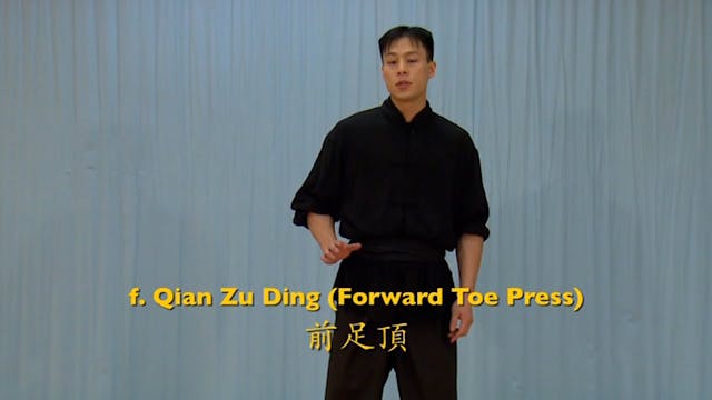Shaolin Kung Fu Advanced 1.13