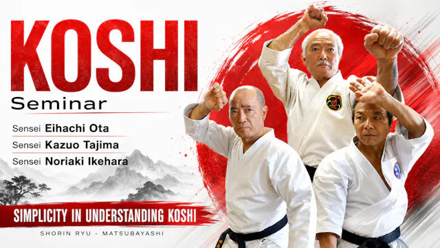 Koshi Shorin Ryu Karate Seminar by Eihachi Ota