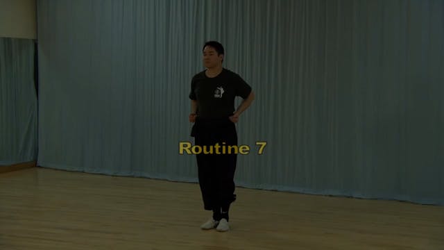 Shaolin Kung Fu Long Fist Int - 55