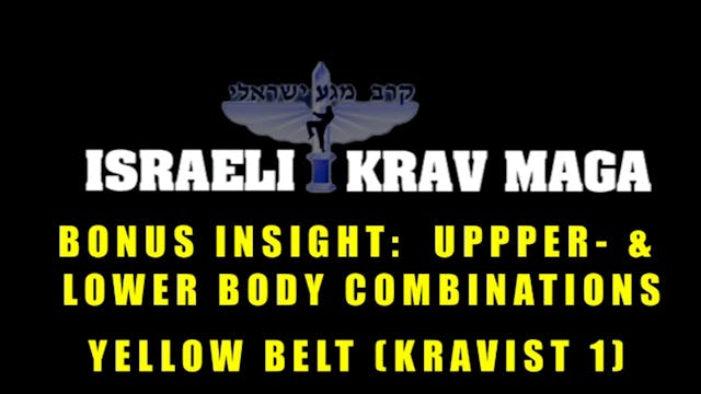 Krav Maga Combatives 2.5