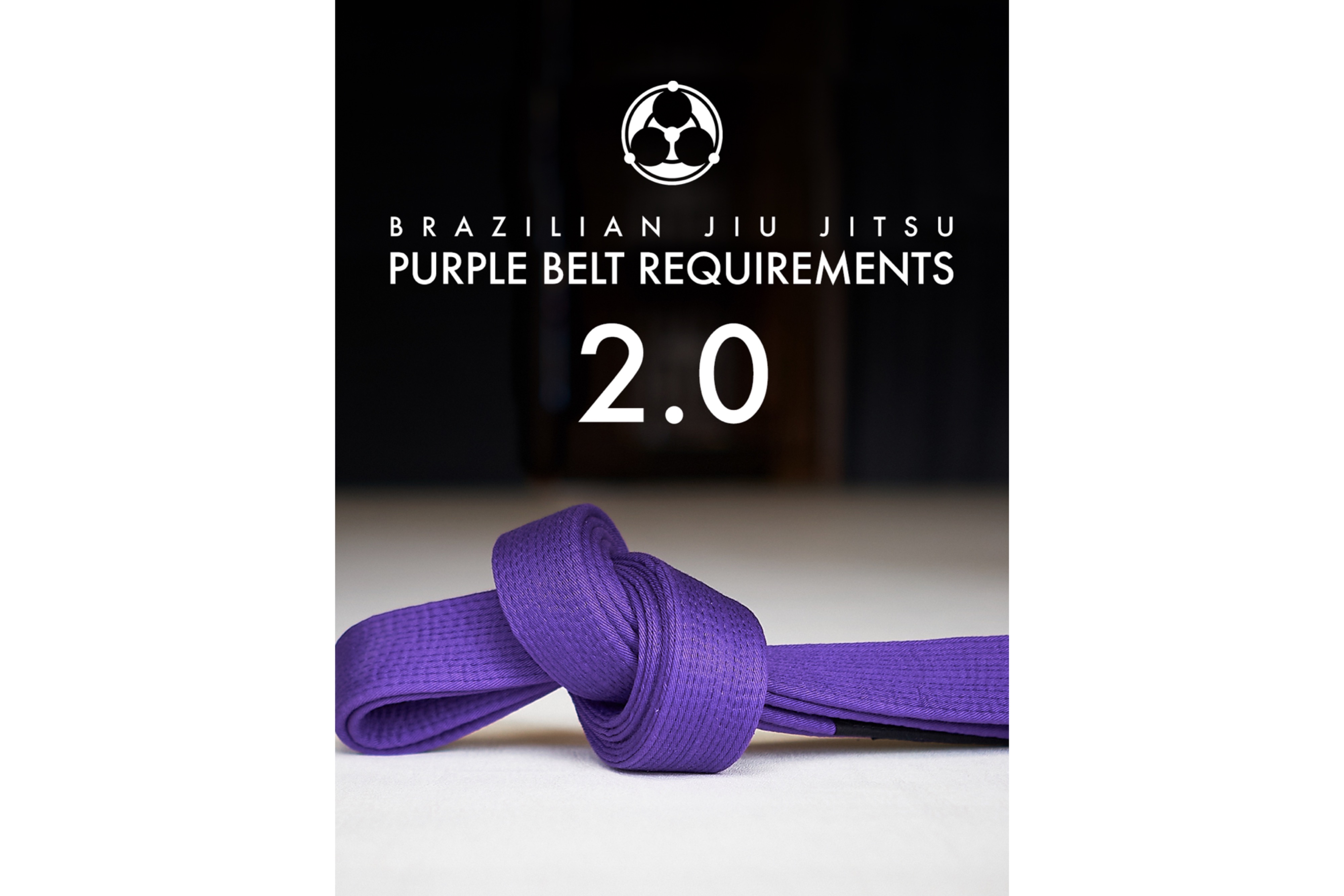 Purple Belt Requirements 2.0 by Roy Dean