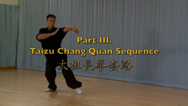 Shaolin Kung Fu Advanced 1.64