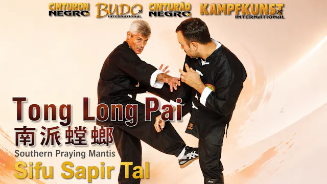 Tong Long Pai Southern Praying Mantis Sapir Tal
