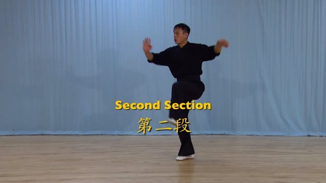 Shaolin Kung Fu Advanced 2 - 40
