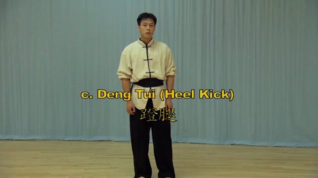 Shaolin Kung Fu Long Fist Int - 7