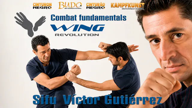 Wing Revolution Combat Fundamentals