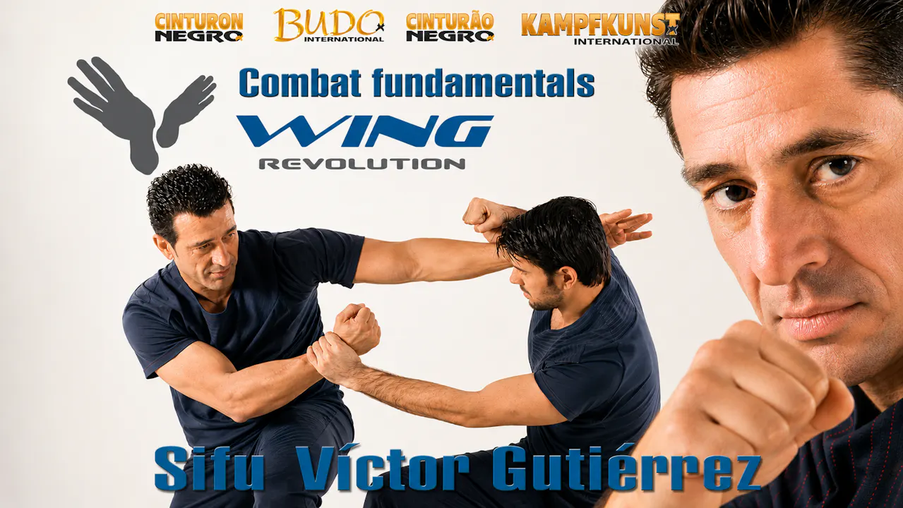 Wing Revolution Combat Fundamentals