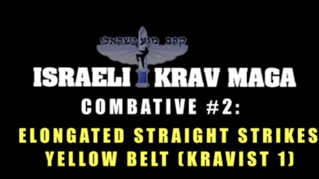 Krav Maga Combatives 1.5