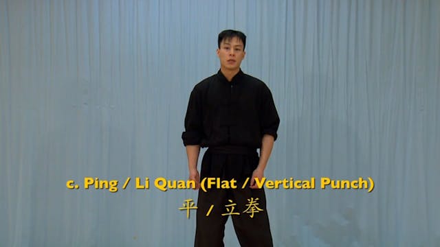 Shaolin Kung Fu Advanced 1.16