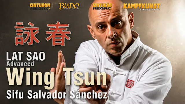 Wing Tsun Lat Sao Advanced TAOWS Academy