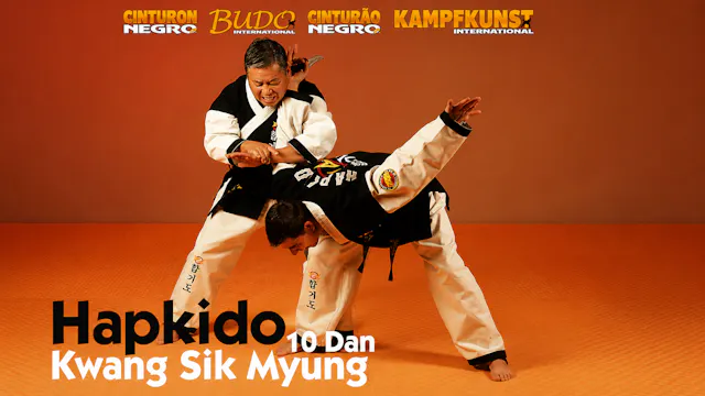 Hapkido WHF by Kwang Sik Myung