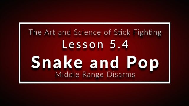 Art of Stick Fighting 5.4