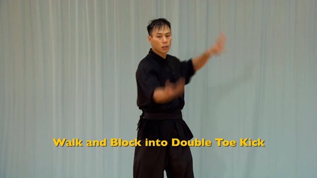 Shaolin Kung Fu Advanced 1.60