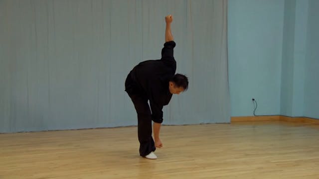 Shaolin Kung Fu Advanced 1.67