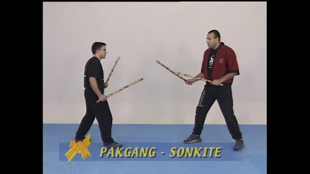 Warriors Eskrima by Krishna Godania