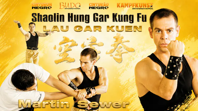 Hung Gar Kung Fu Lau Gar Kuen Form by Martin Sewer