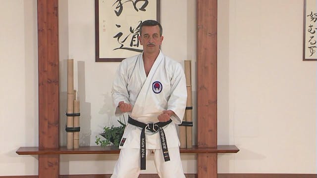 Traditional Wado Ryu Karate-Do Vol 2 All Advanced Katas VPM-40