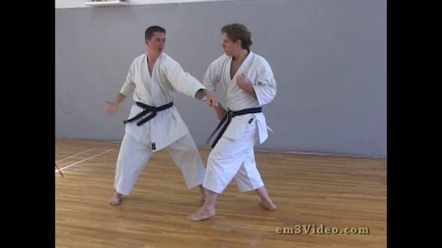 Shinshin Mugendo Art of Total Fightin...