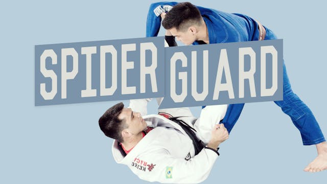 Dynamic Spider Guard with Michael Langhi