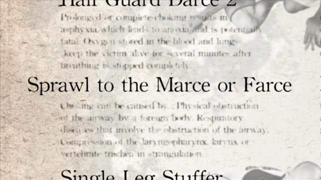 16 Sprawl to Marce or Farce Darcepedia English Vol 1