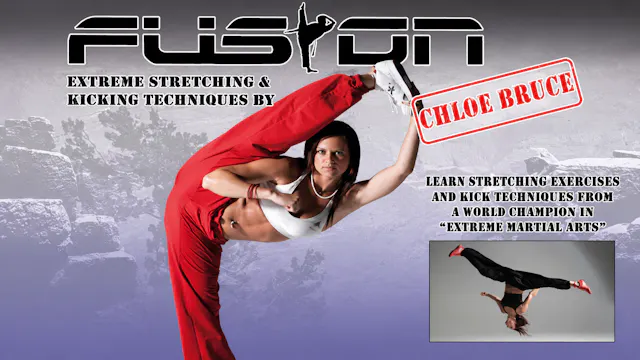 Extreme Stretching & Kicking Techniques