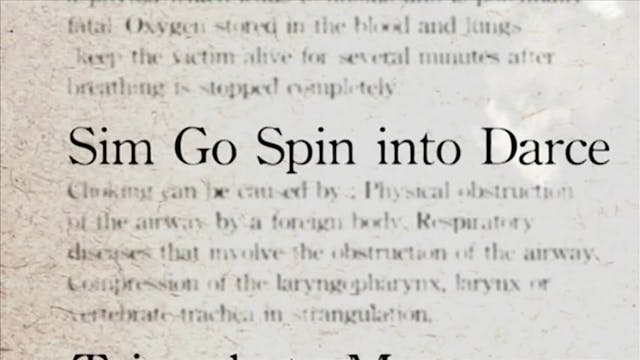 19 Sim Go Spin Into Darce Darcepedia English Vol 1