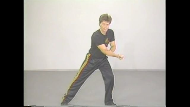 Jeet Kune Do Concepts & Philipino Martial Arts Part 5 Knife Fighting Paul Vunak
