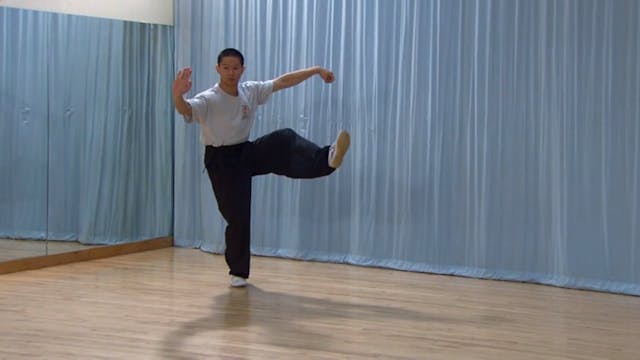 Shaolin Kung Fu Advanced 2 - 32