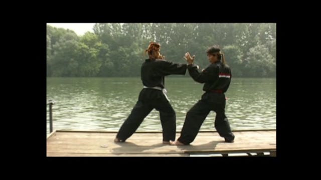 Pencak Silat - 5 Experts, 5 Styles Vol.2 DVD213