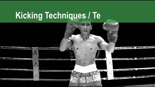 Muay Thai Basics 23 -  29 - Kicking Techniques