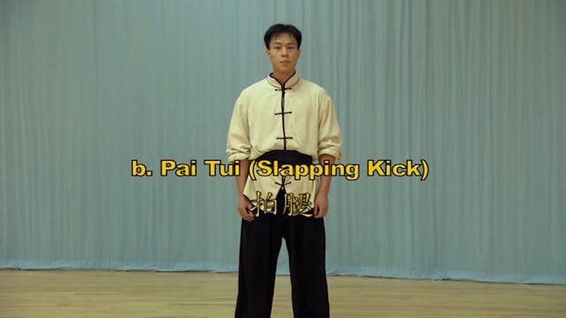 Shaolin Kung Fu Long Fist Int - 6