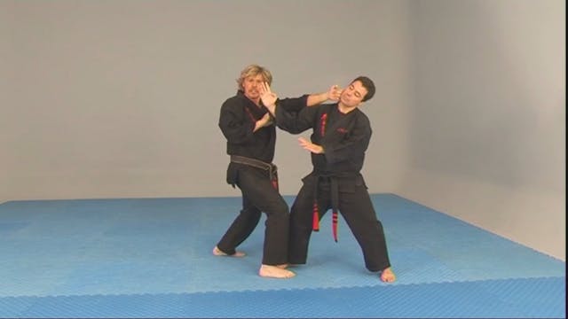 Free Style Kenpo by Larry Tatum