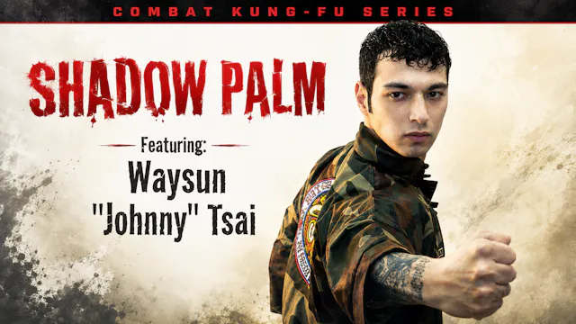 Combat Kung-Fu: Shadow Palm by Johnny Tsai