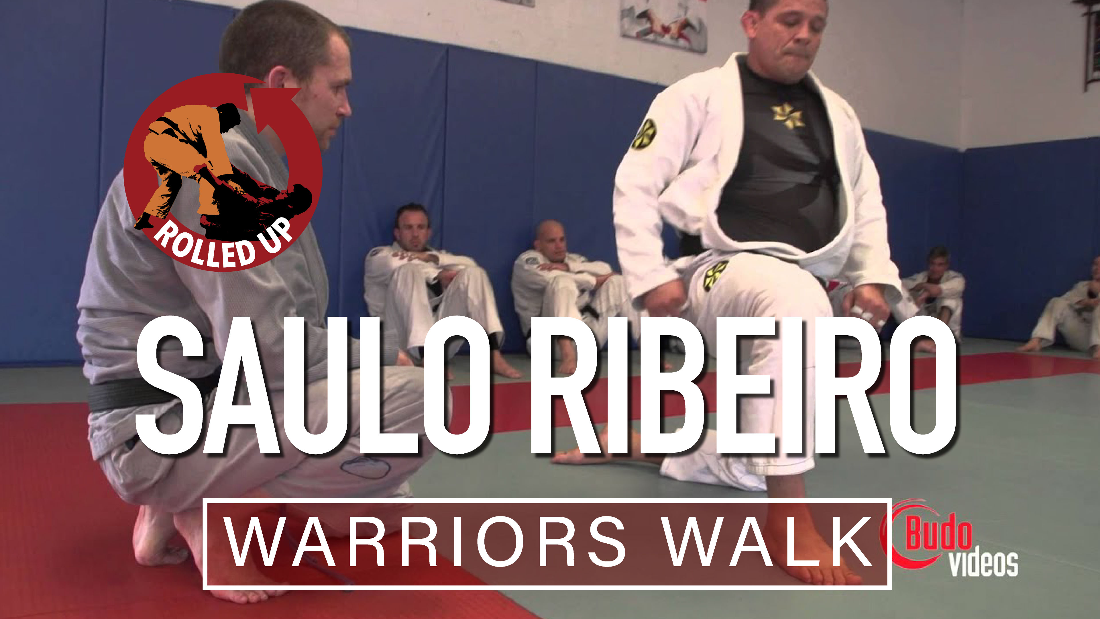 BONUS Saulo Ribeiro Half Guard Pass