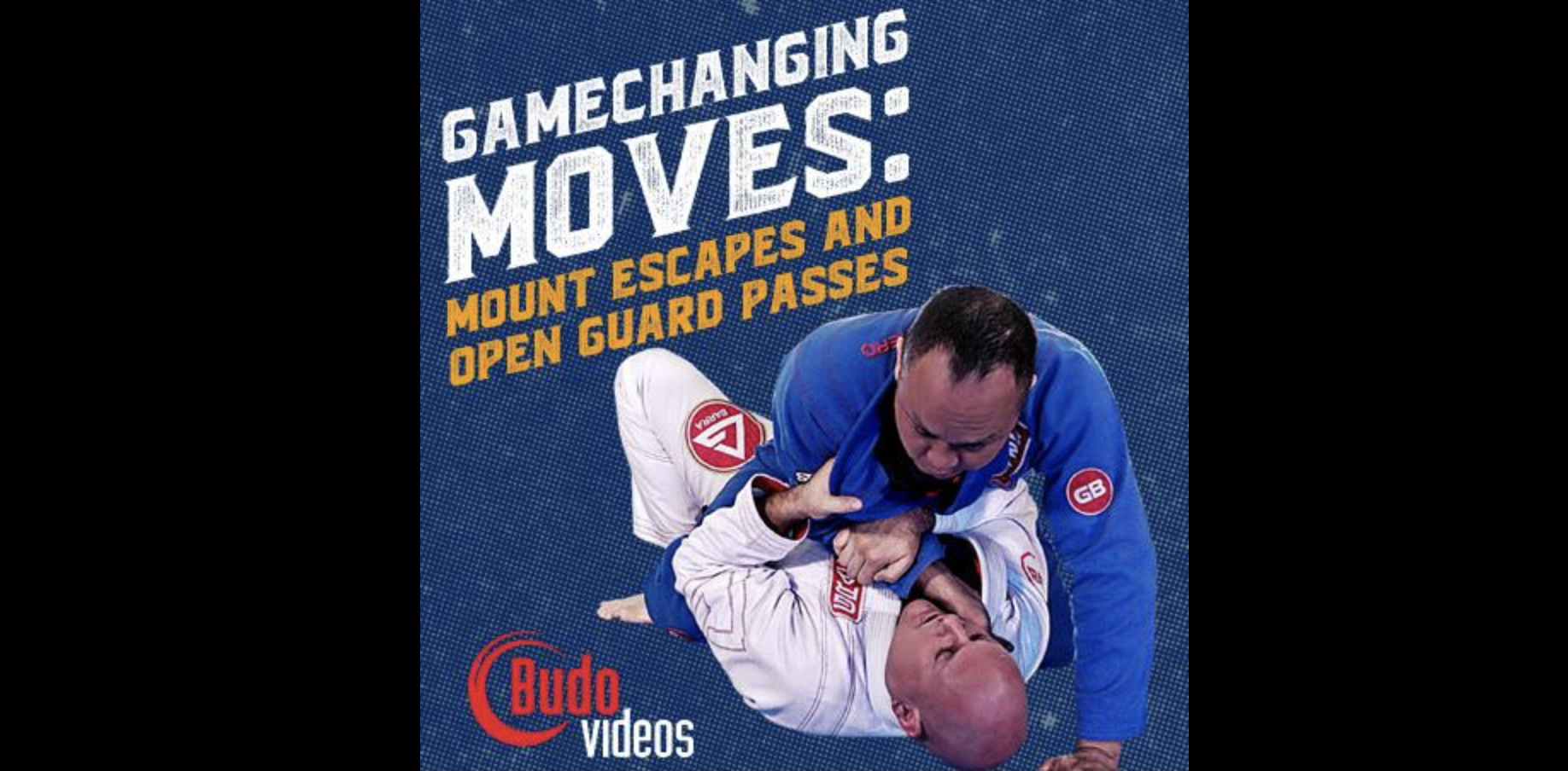 Gamechanging BJJ Moves by Brent Littell