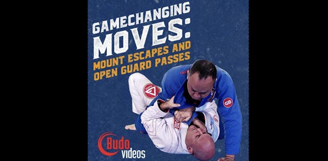 Gamechanging BJJ Moves by Brent Littell