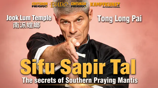 Secrets of Southern Praying Mantis by Sapir Tal