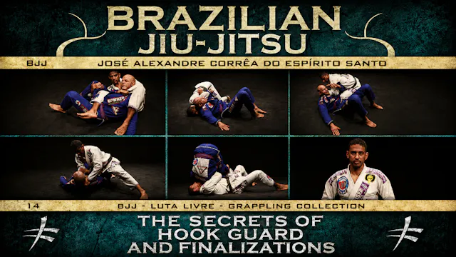 BJJ Butterfly Guard & Submissions