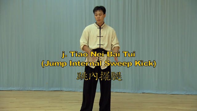 Shaolin Kung Fu Long Fist Int - 14