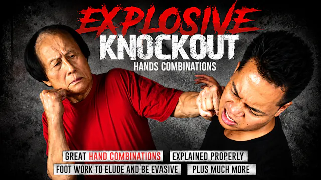 Explosive Knockout Hands Combinations by Leo Fong