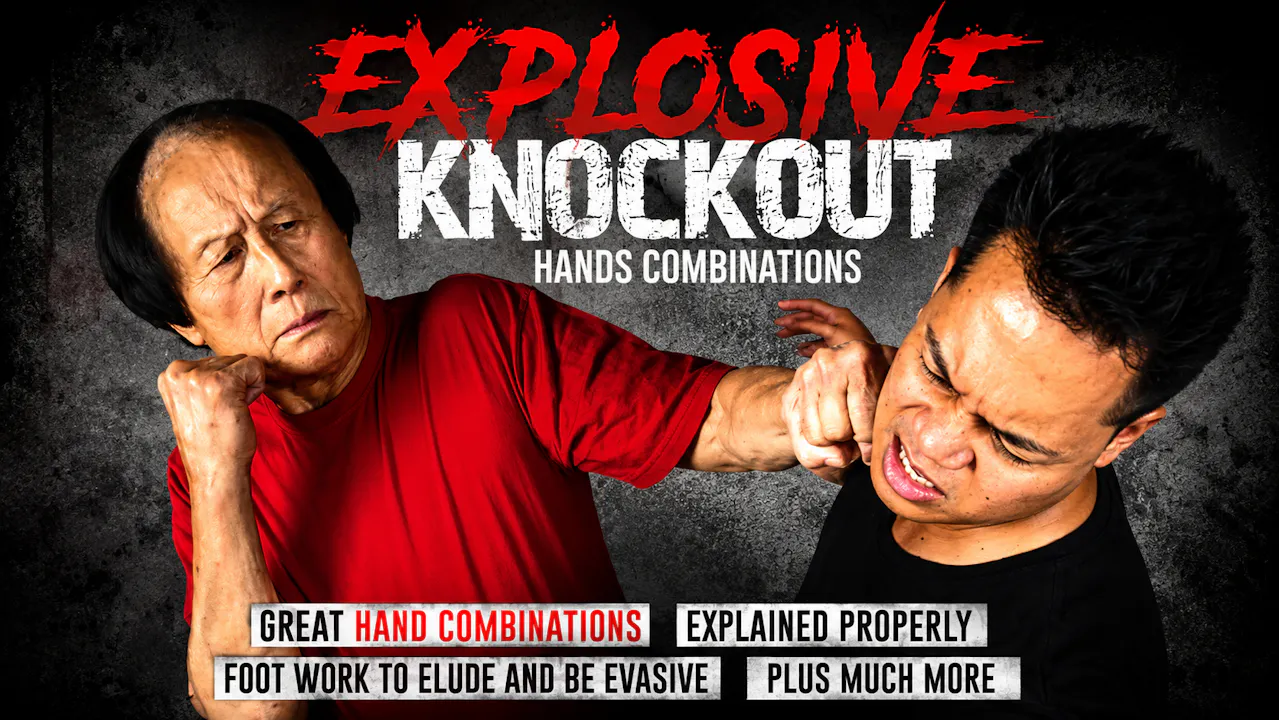 Explosive Knockout Hands Combinations by Leo Fong
