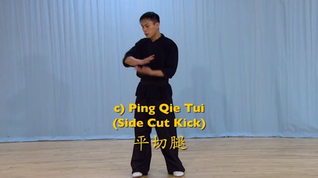 Shaolin Kung Fu Advanced 2 - 13