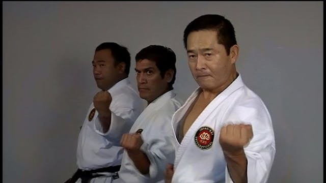 Karate Shito Ryu Kata Volume 4 by Kunio Miyake