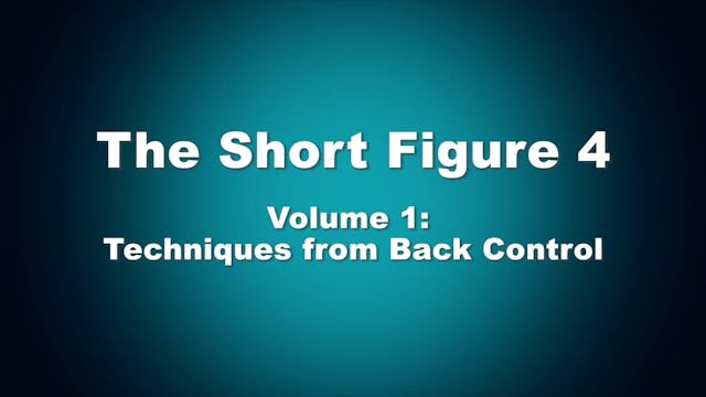 Short Figure 4 Vol 1