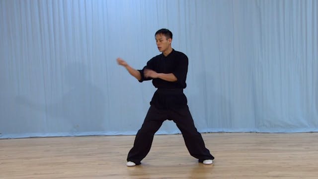 Shaolin Kung Fu Advanced 2 - 5