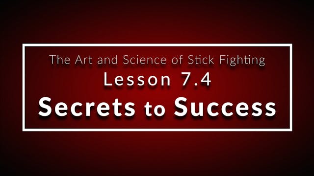 Art of Stick Fighting 7.4